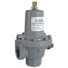 P289 Back Pressure Regulator